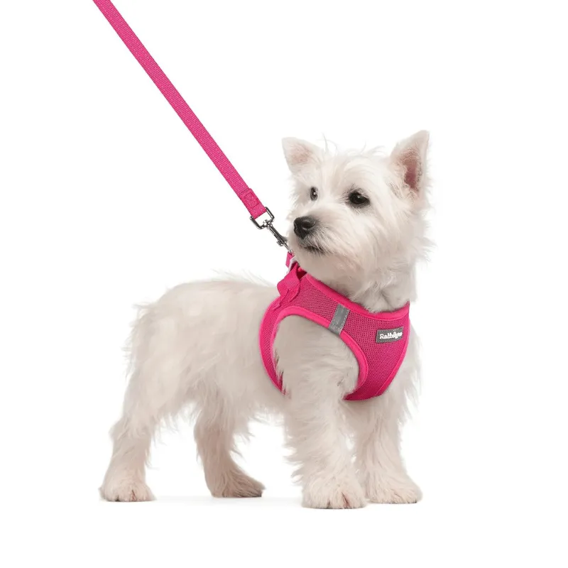 Maltese dog wearing a pink lightweight harness and leash, demonstrating comfort and style for safe daily walks.