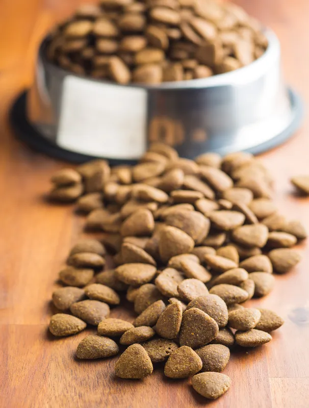 Dog food kibble scattered on wooden surface beside a stainless steel bowl, emphasizing healthy food options for Maltese dogs to support dental health and overall wellbeing.
