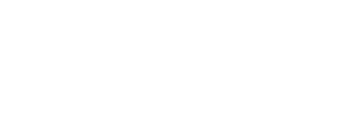 nocustomerlost.com logo