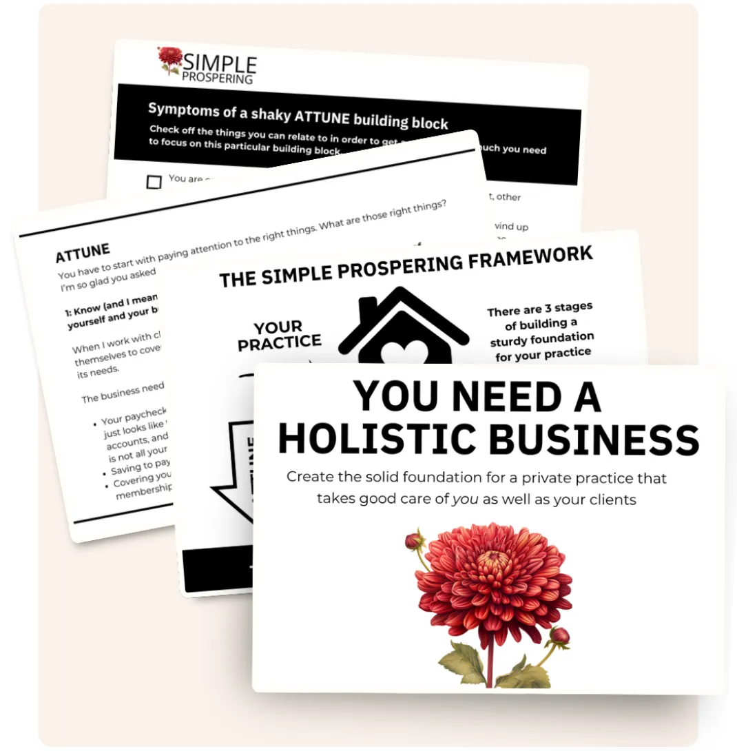 Mockup of You Need a Holistic Business PDF