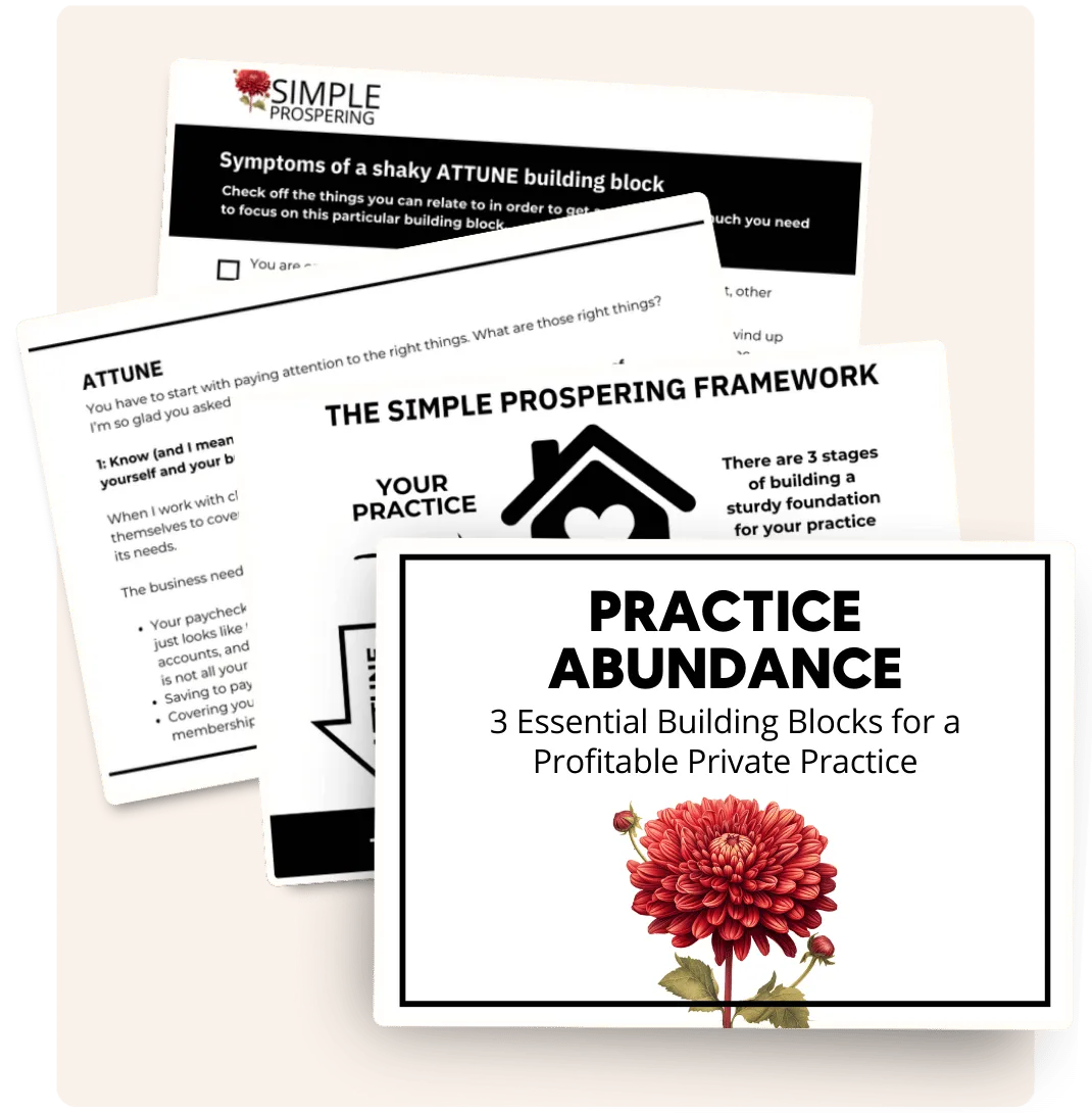 Mockup of Practice Abundance Ebook