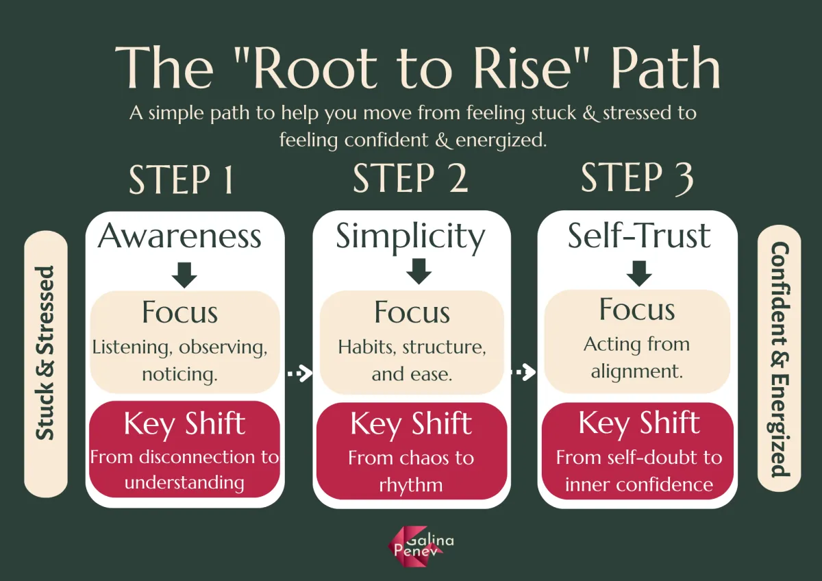 The Root to Rise Path, 3 steps: simplicity, awareness and self-trust