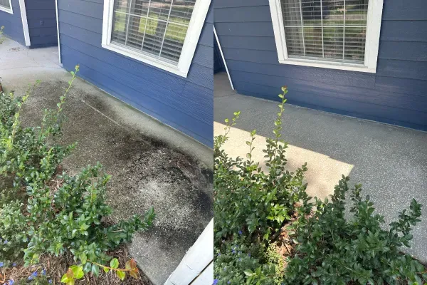 Why Fruit Cove and Mandarin Homes Need Regular Soft Washing