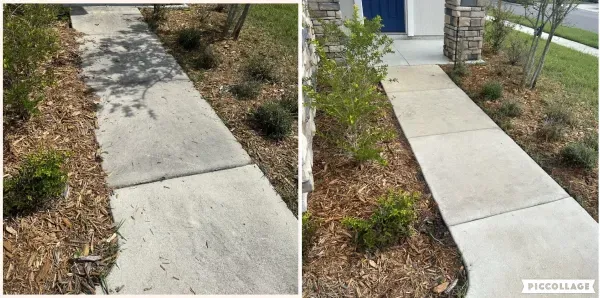 Clean walkway beside a Florida home