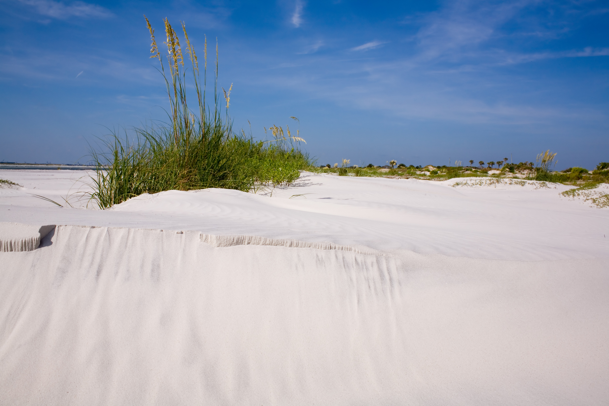 Hidden Paradise Alert: Little Talbot Island State Park – RevTek Rentals - Jacksonville, FL
