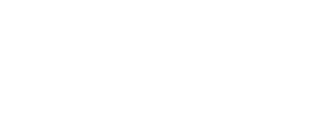 Vivalis official site