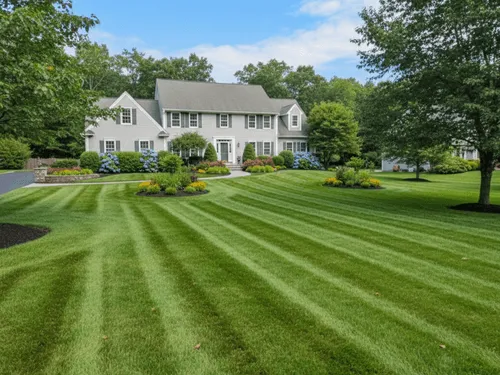Spring Cleanup 