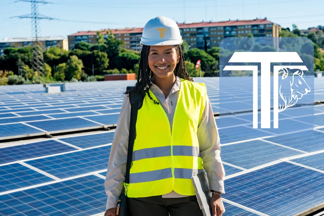 a group of cranes that are on top of a building