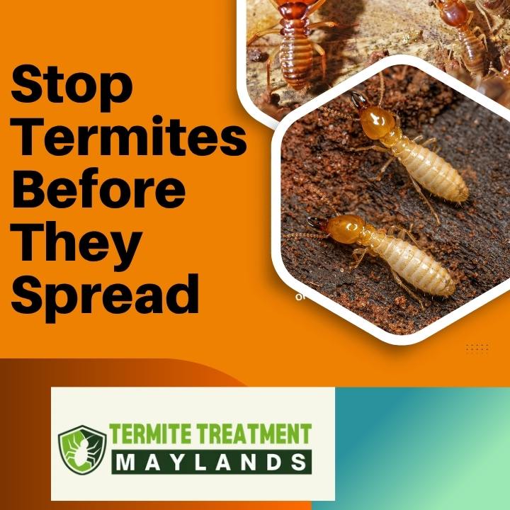 Termite removal treatment