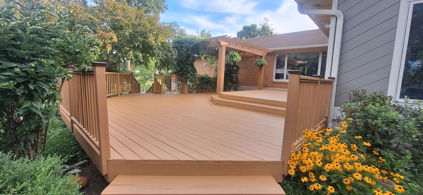 Deck and Fence Painting
