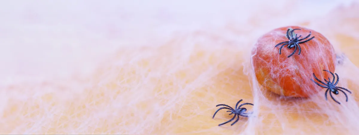 Interior Treatments | Desert Shield Pest Control - Tucson, AZ