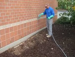 Customized Treatment Plan | Desert Shield Pest Control - Tucson, AZ