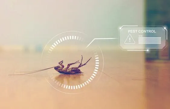 What are Stinging Pests | Desert Shield Pest Control - Tucson, AZ