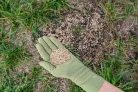 Weed Control | Desert Shield Pest Control - Tucson, AZ