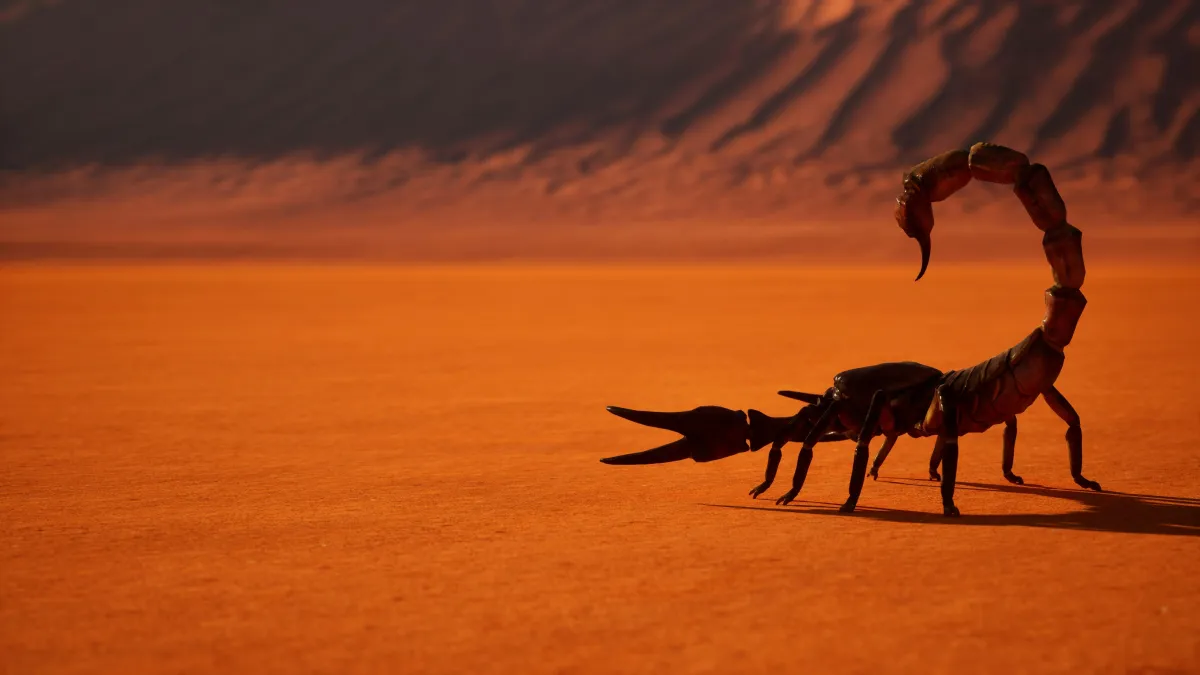 Prevention Strategies | Desert Shield Pest Control - Tucson, AZ