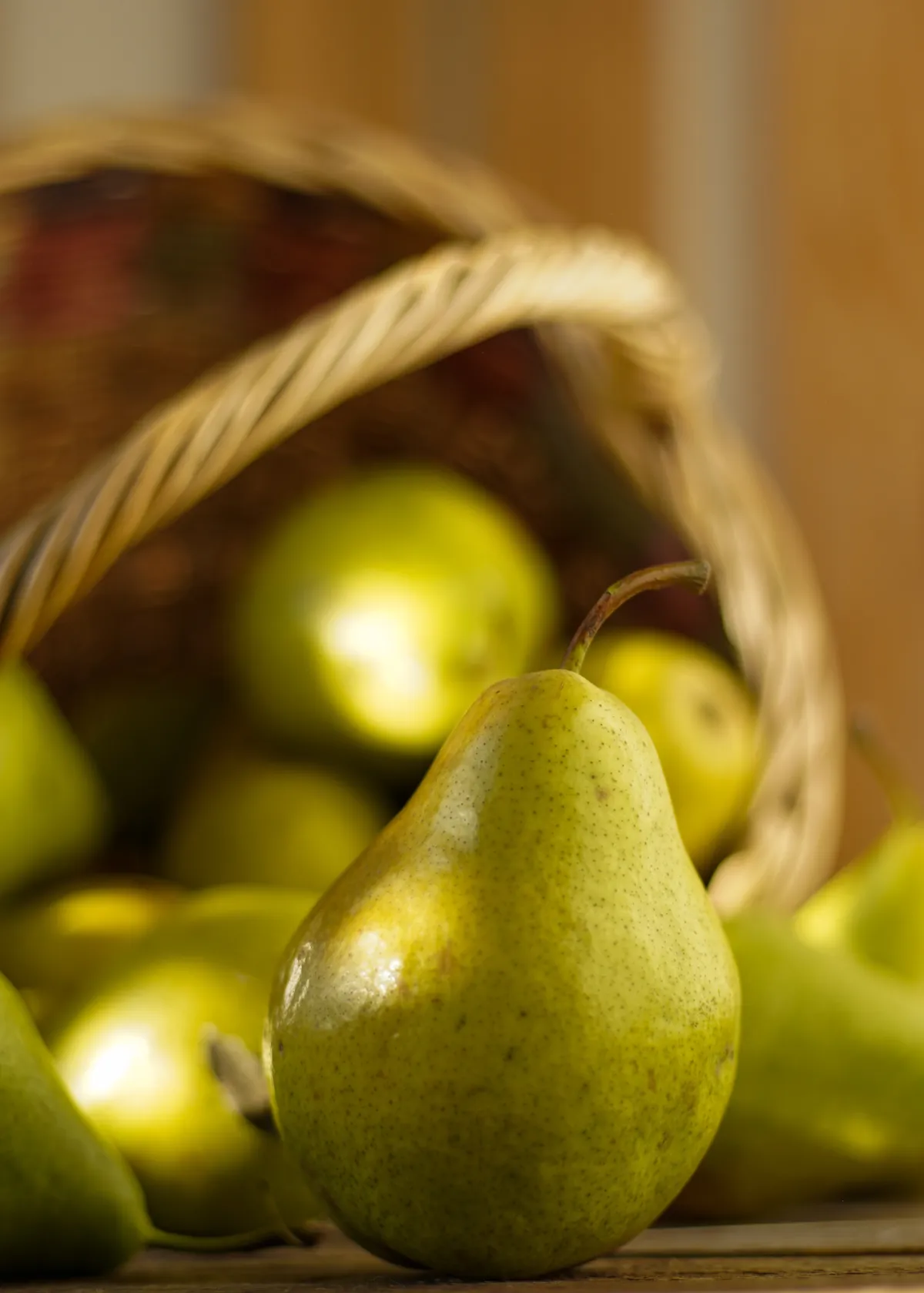 pear harvest in basket