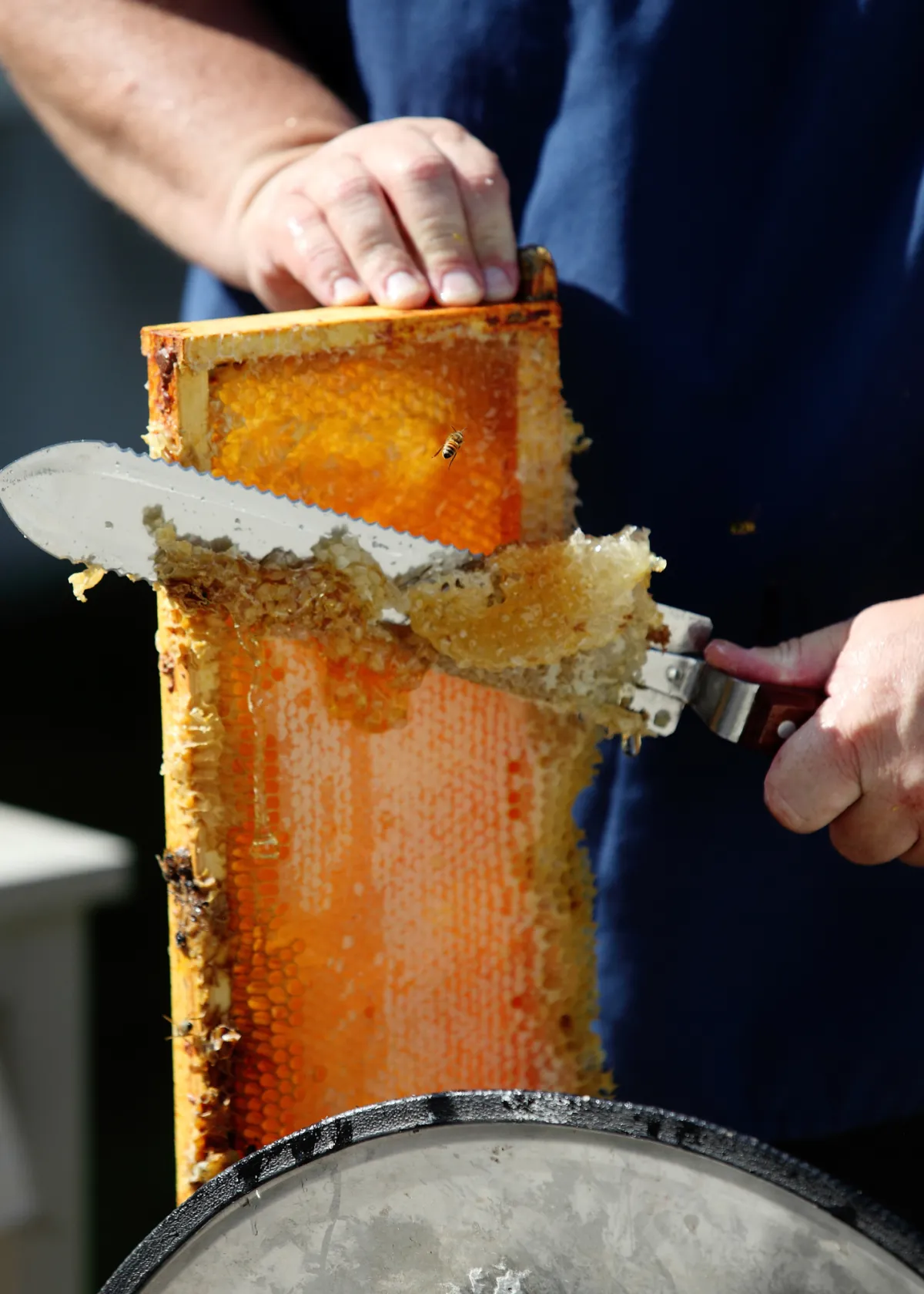 Scraping honey frame