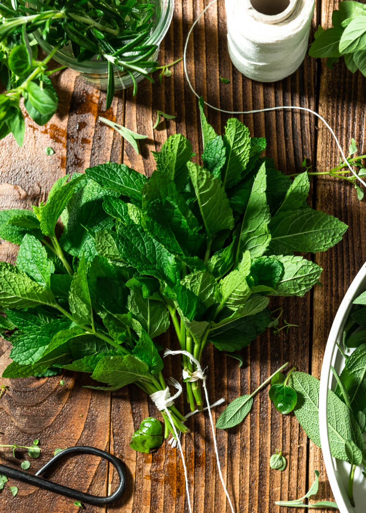 Bunch of mint tied with string