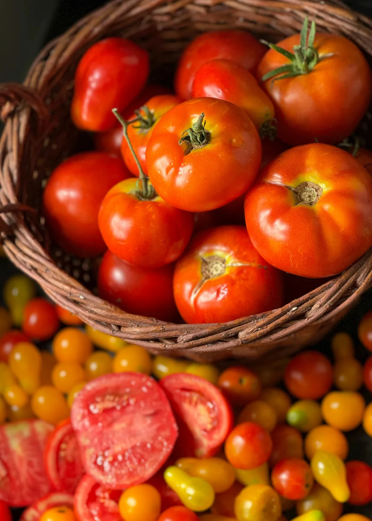 heirloom tomato harvest