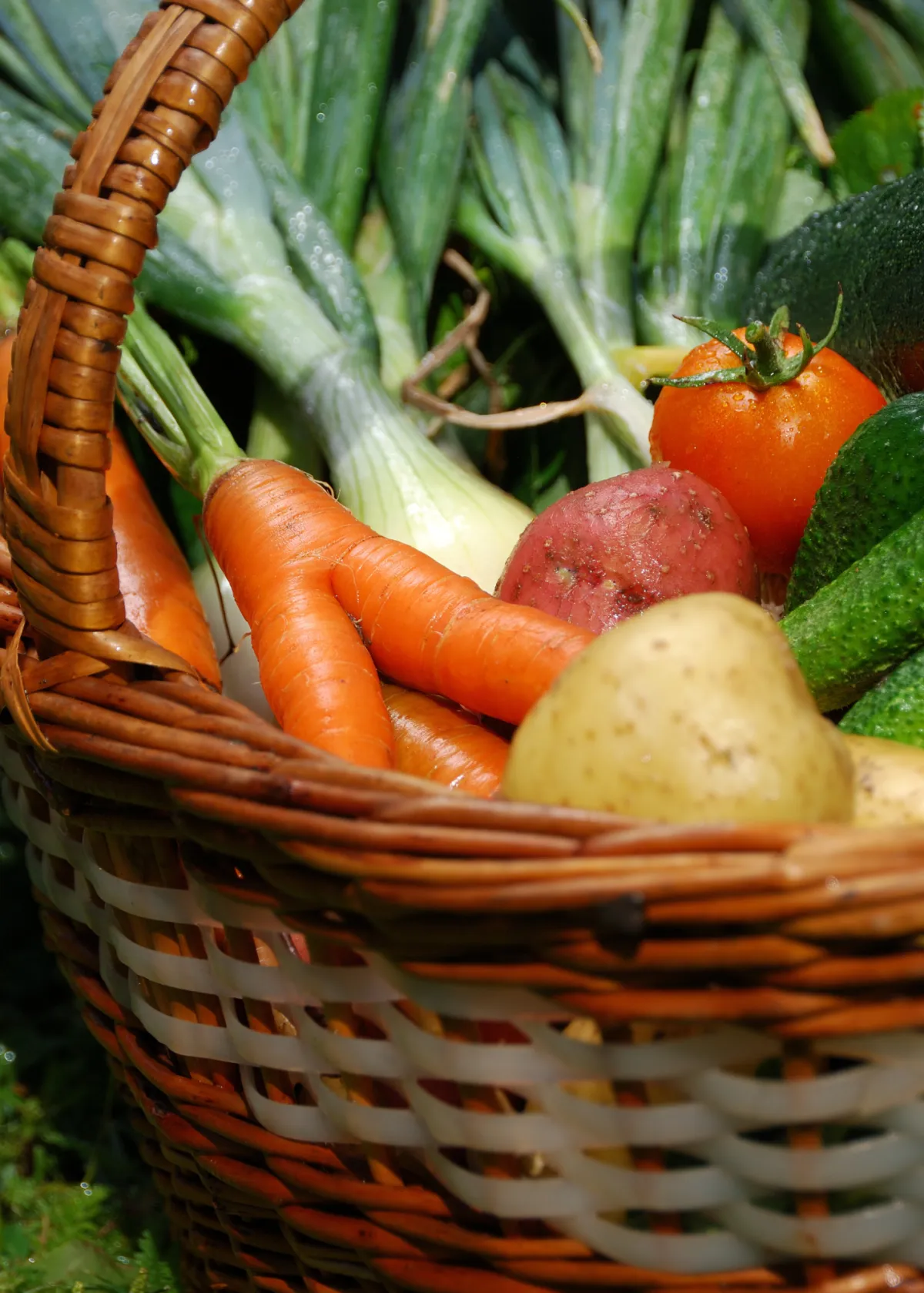 basket or fresh veggies