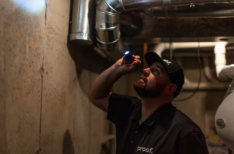 a proof. technician looking up at a termite mud tube with a flashlight