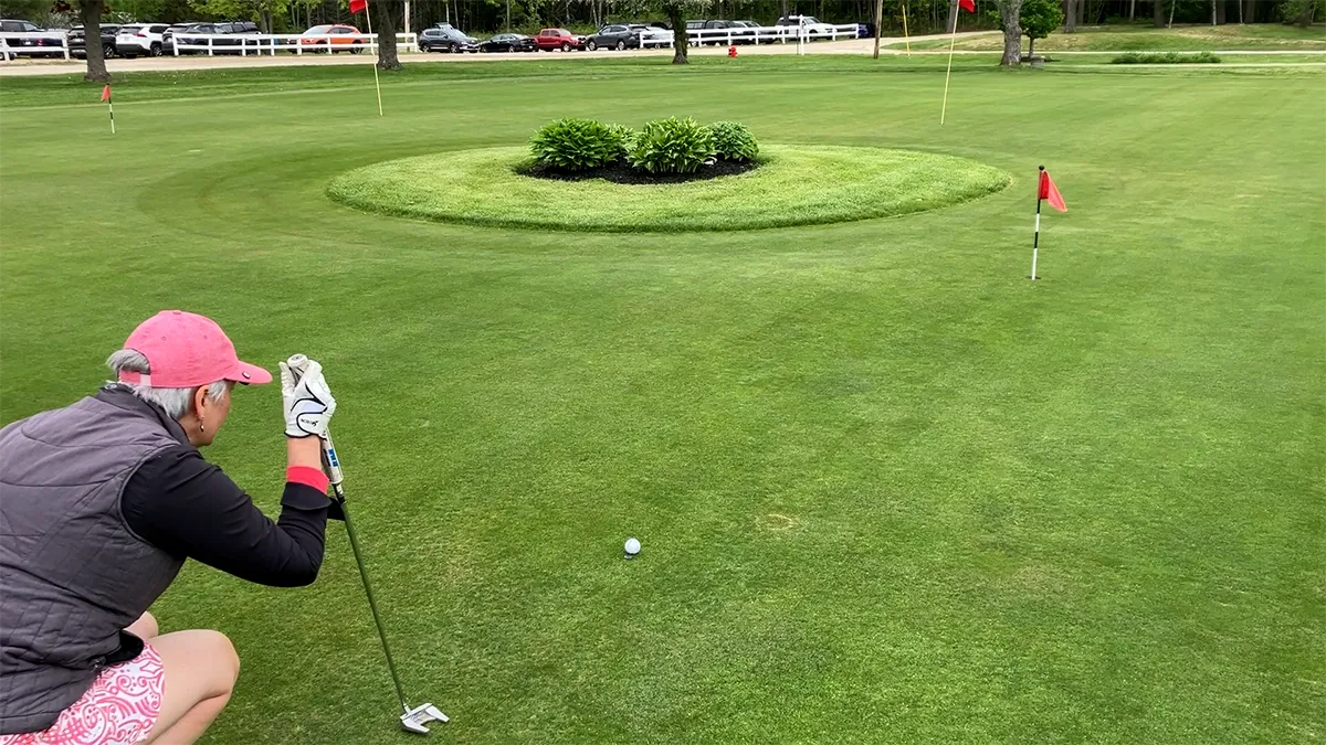 Course Feature