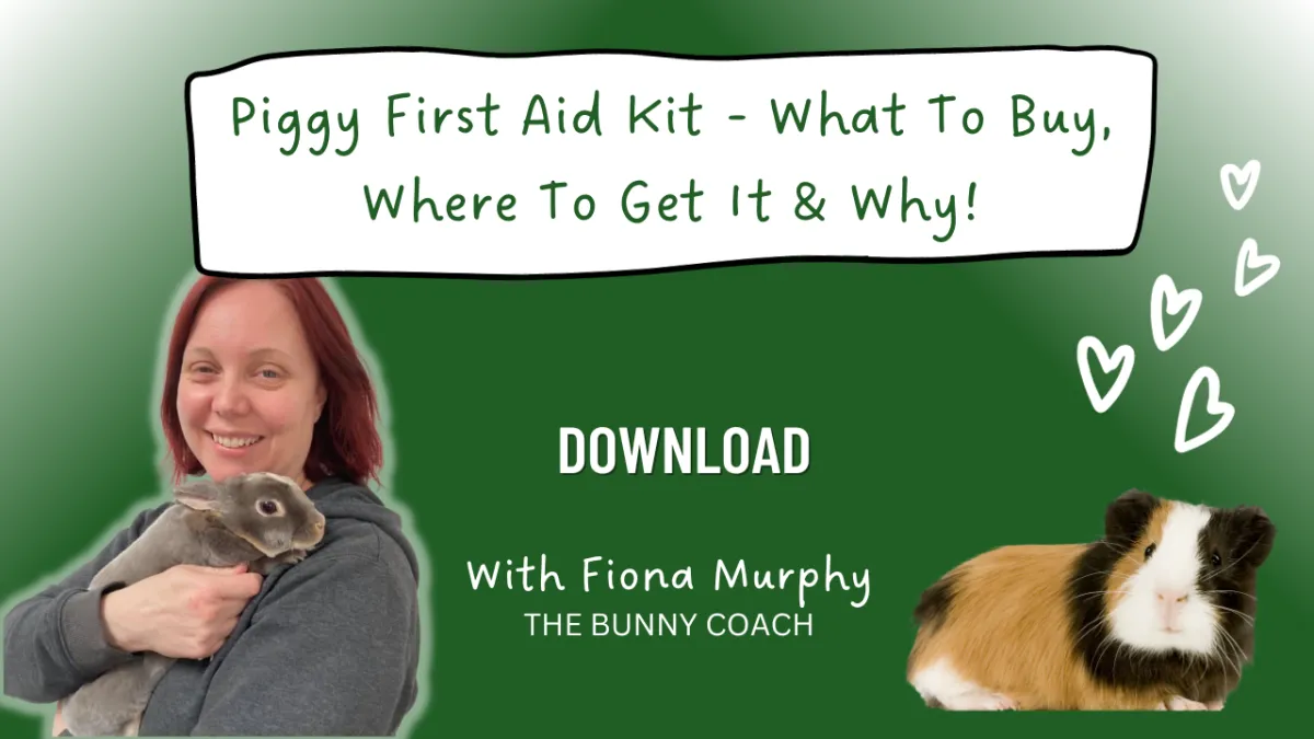 Guinea pig store first aid kit