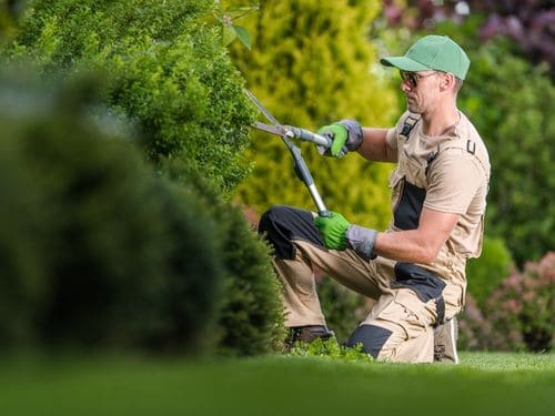 Meiningen Gartenarbeiten