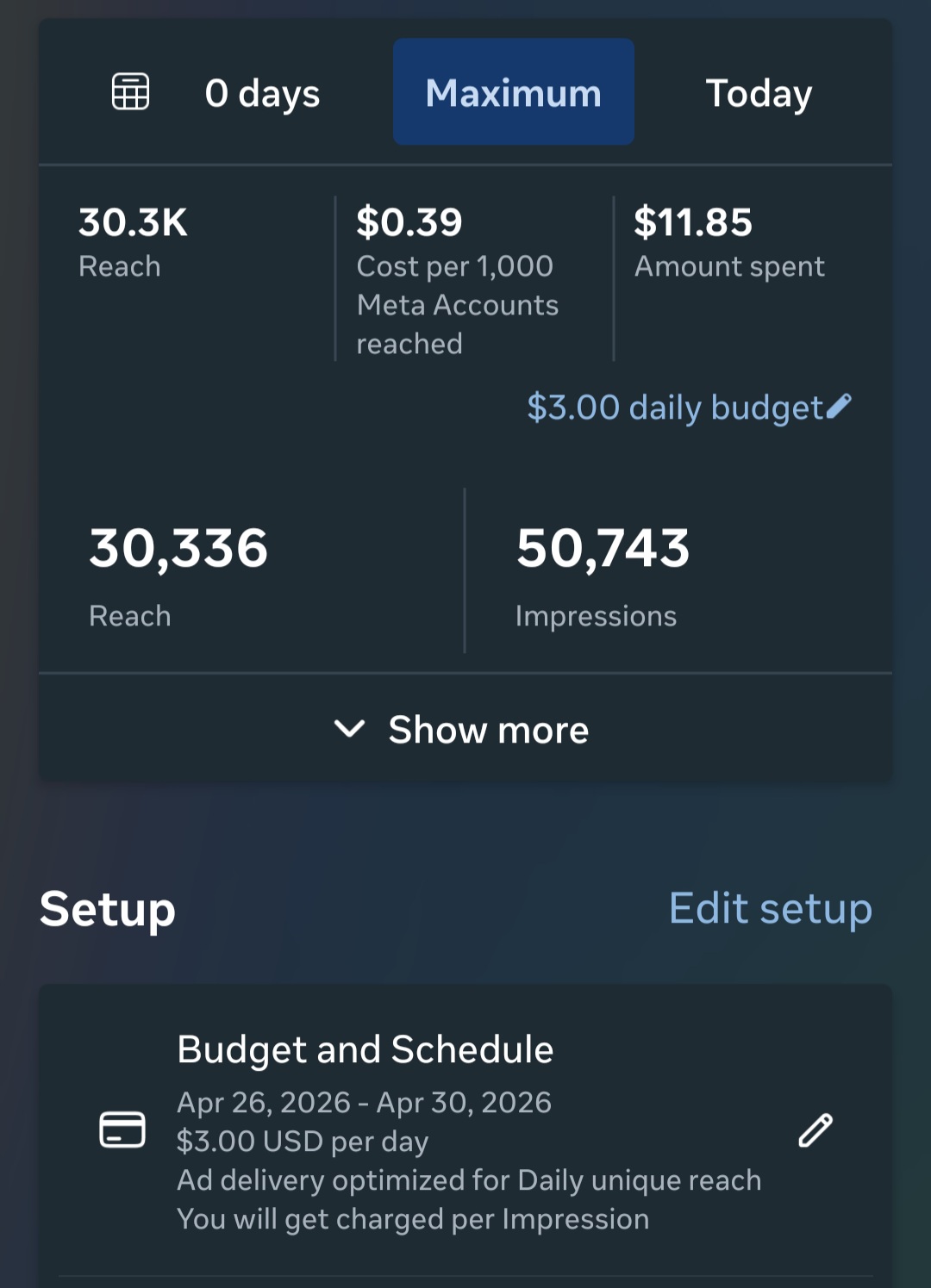 Meta Ads Campaign Result Screenshot 2