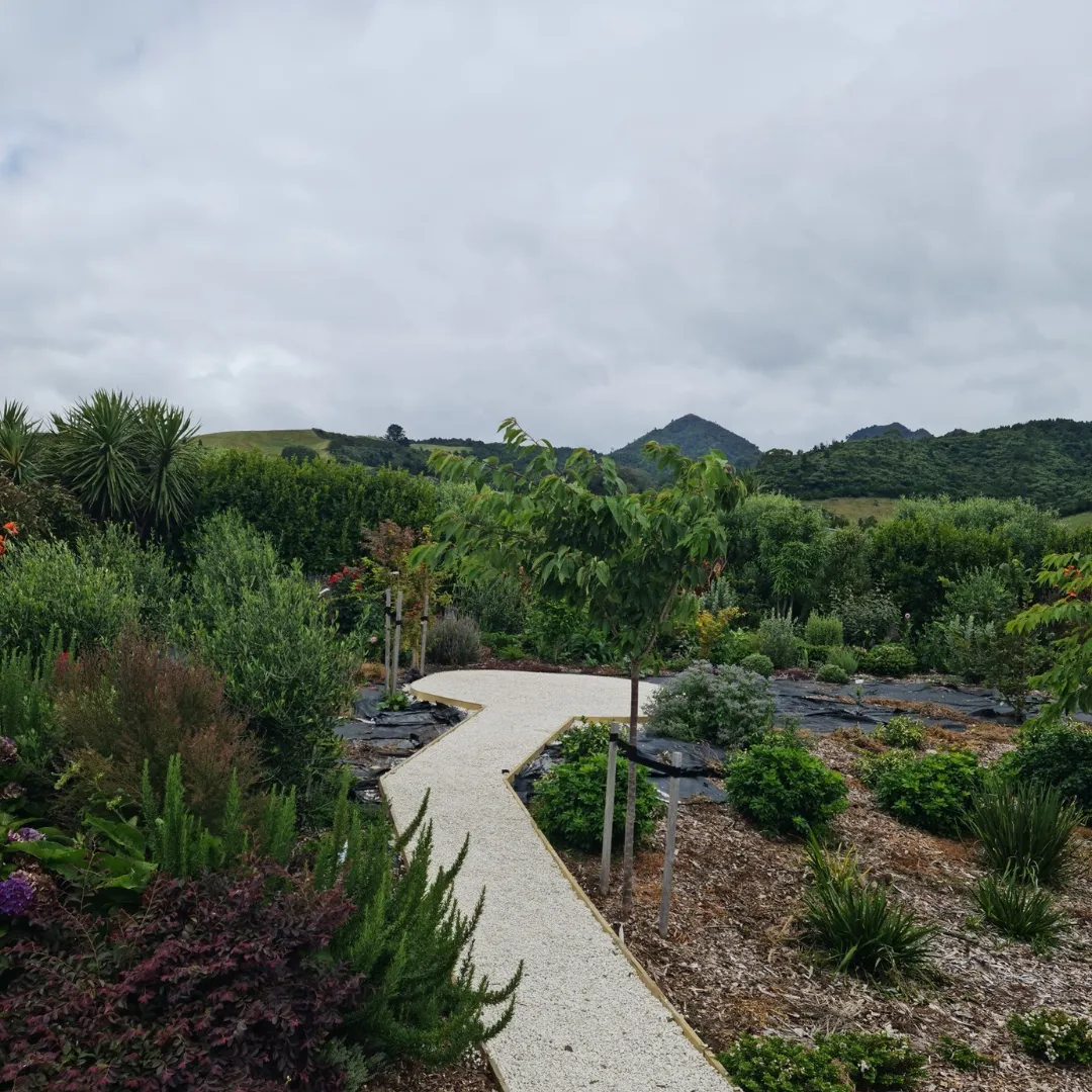 Concrete driveway and pathway installation in New Zealand