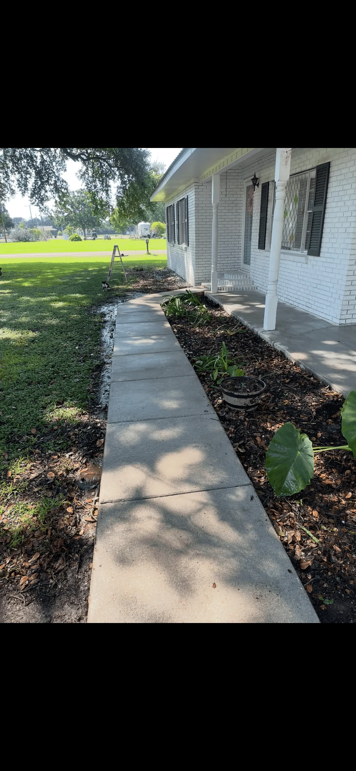Sidewalk Cleaning