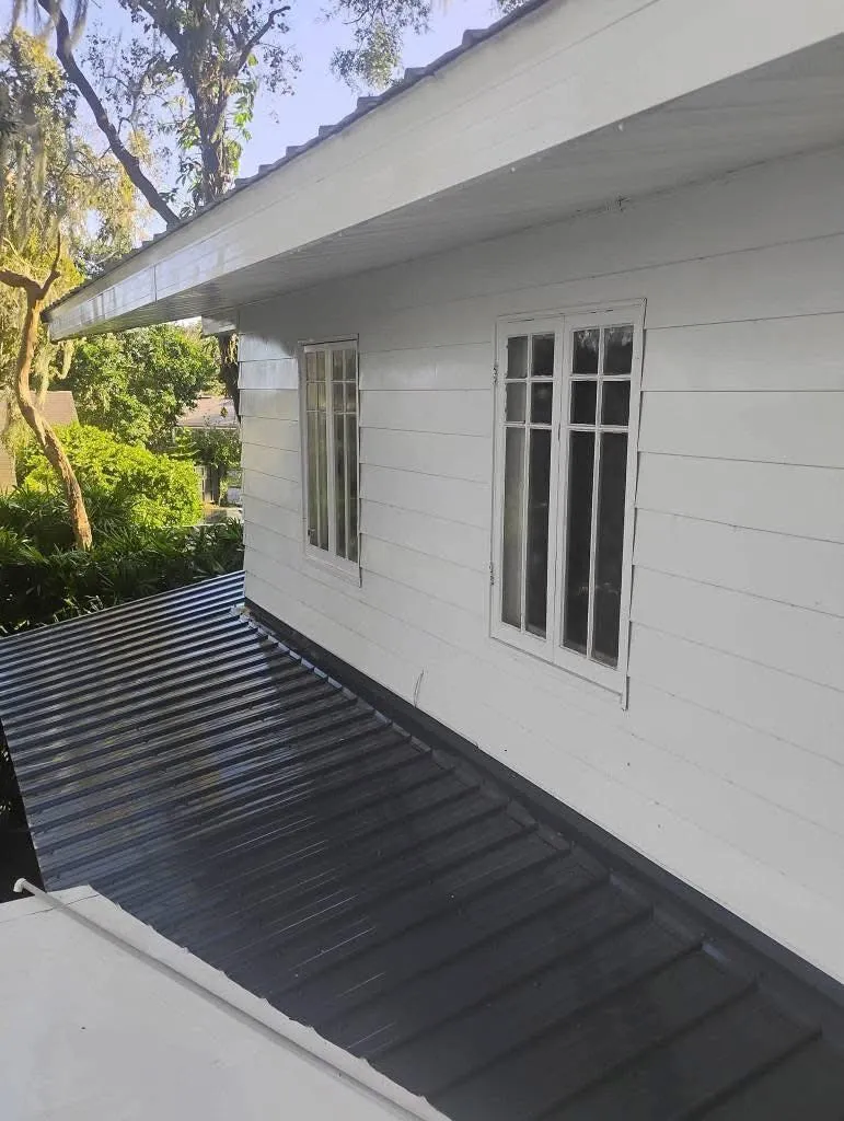 Roof Cleaning
