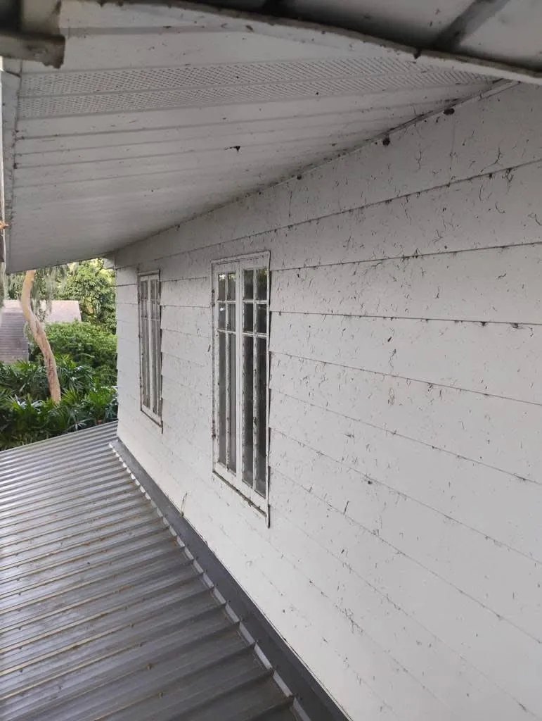 Roof Washing