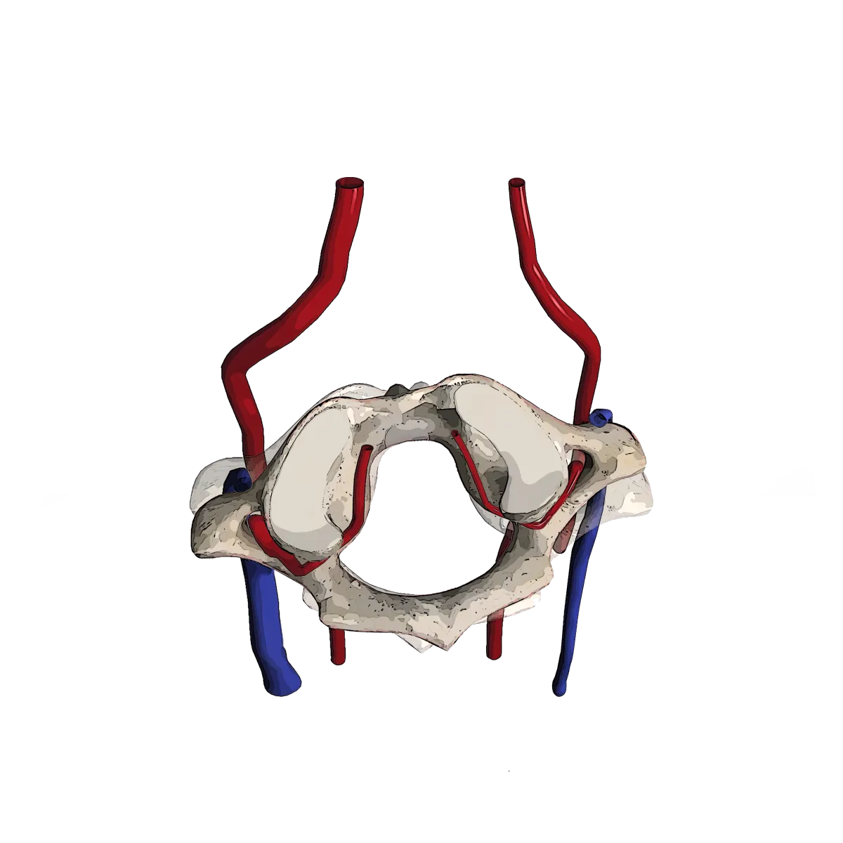 Atlas correction helping balance and vertigo issues