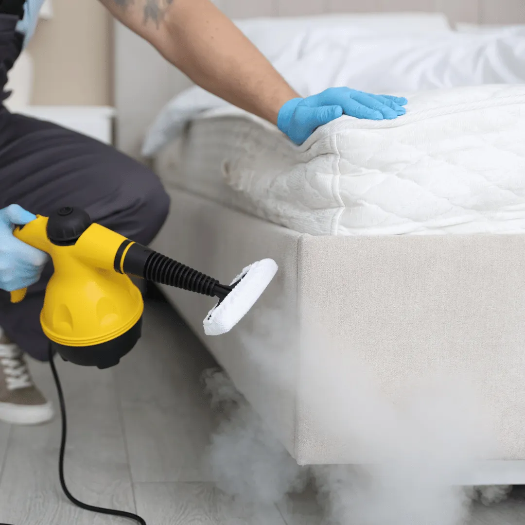 mattress cleaning Hemet CA, mattress cleaner Hemet, stain removal mattress Hemet, odor removal mattress Hemet, deep mattress cleaning Hemet, allergen cleaning mattress Hemet, mattress cleaning Riverside County