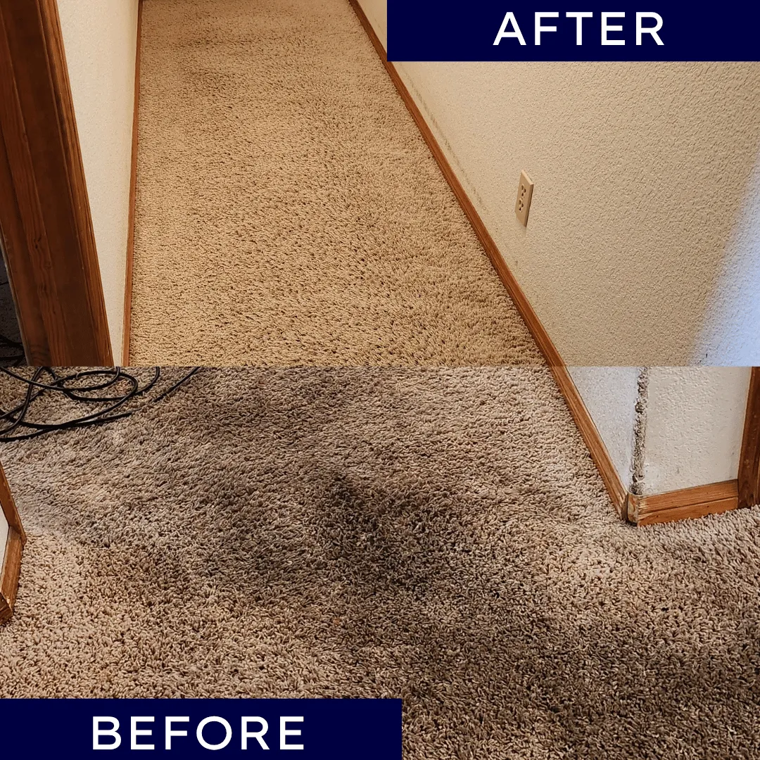 carpet cleaning Hemet CA, local carpet cleaner Hemet, upholstery cleaning Hemet CA, mattress cleaning Hemet, carpet cleaning Riverside County, residential carpet cleaning Hemet, commercial carpet cleaning Hemet