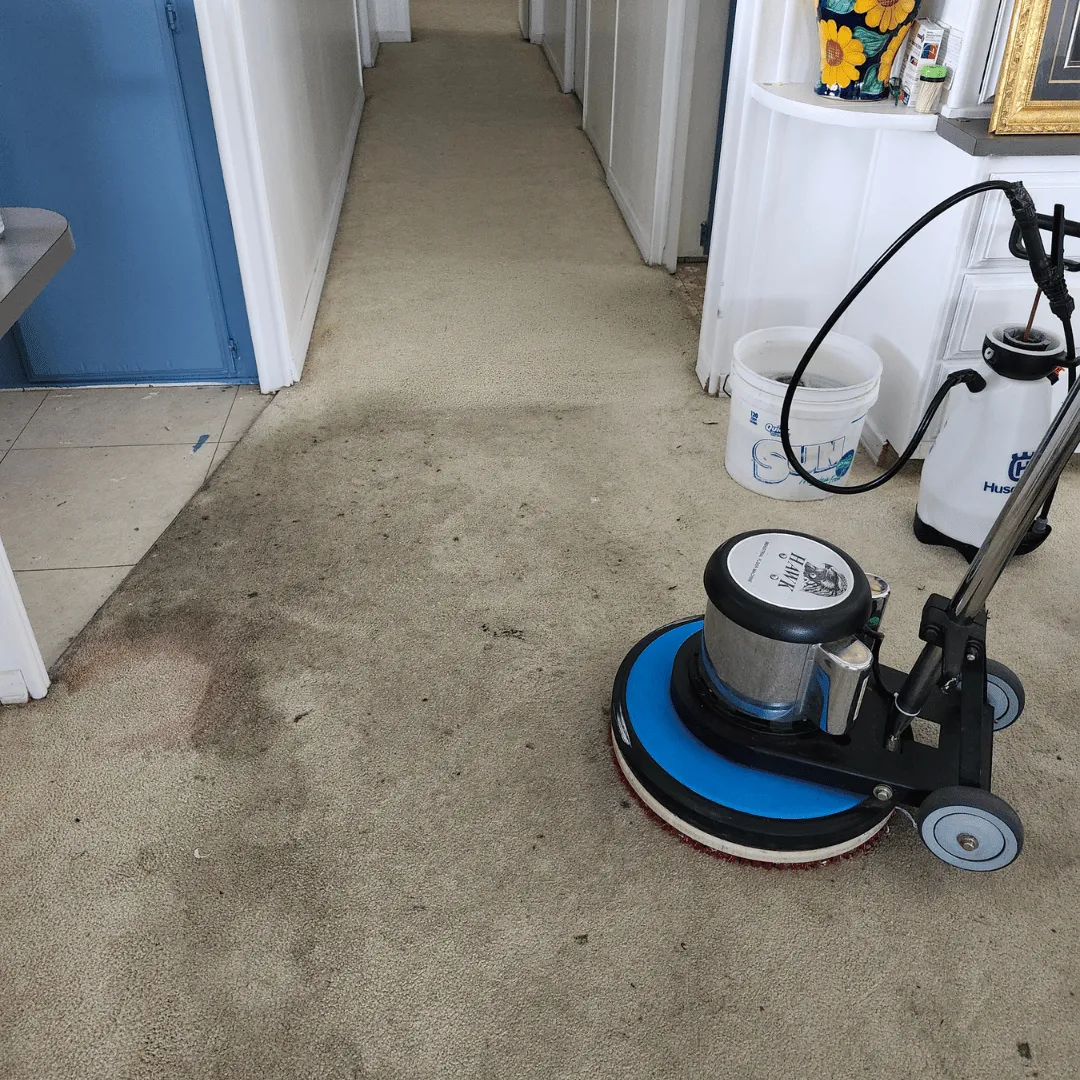 carpet cleaning Hemet CA, local carpet cleaner Hemet, upholstery cleaning Hemet CA, mattress cleaning Hemet, carpet cleaning Riverside County, residential carpet cleaning Hemet, commercial carpet cleaning Hemet