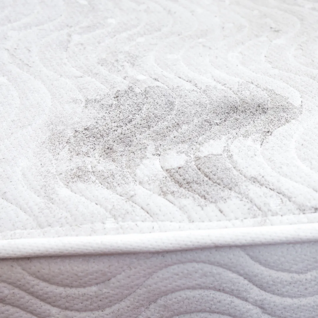 mattress cleaning Hemet CA, mattress cleaner Hemet, stain removal mattress Hemet, odor removal mattress Hemet, deep mattress cleaning Hemet, allergen cleaning mattress Hemet, mattress cleaning Riverside County