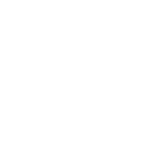 Nita's Silent Hands, Inc Logo