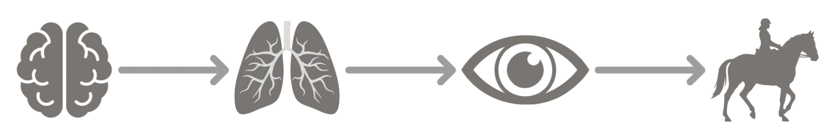 Regulating the nervous system