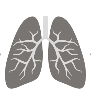 Relate Body (Physiological)