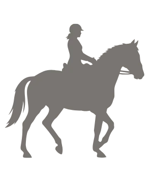 Ride Focus (Performance)