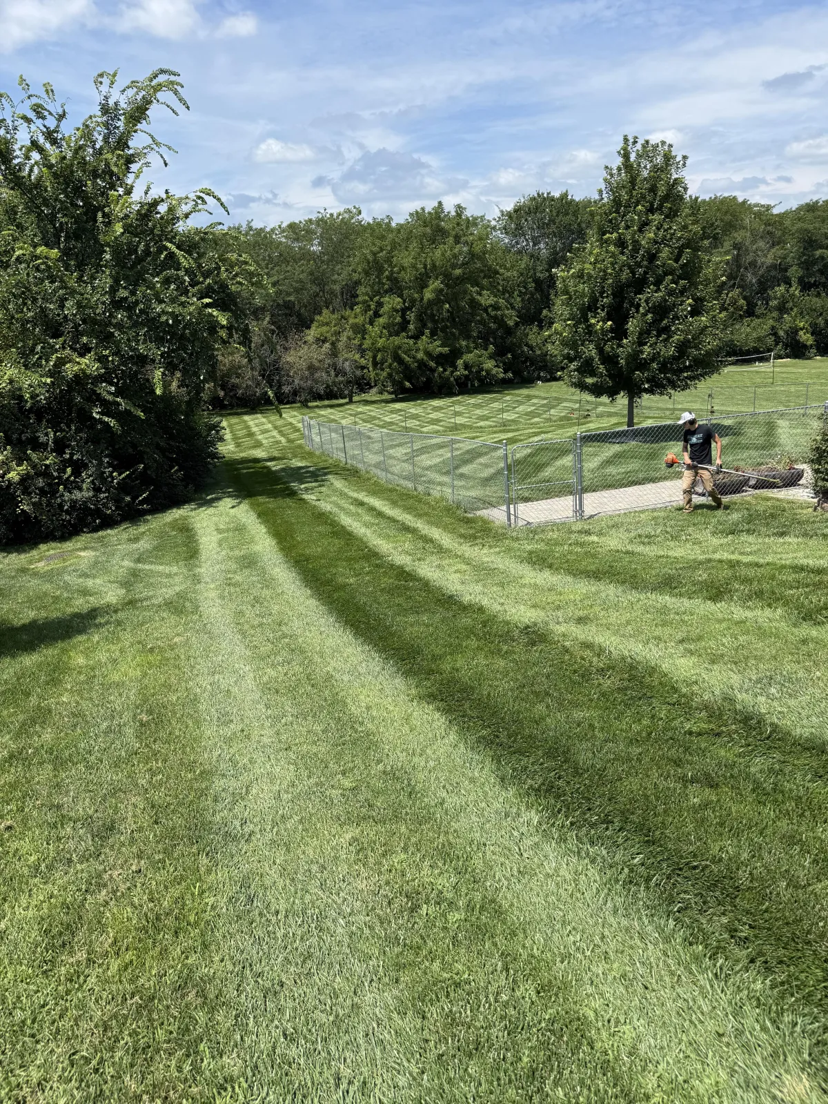 Lawn Fertilization Programs