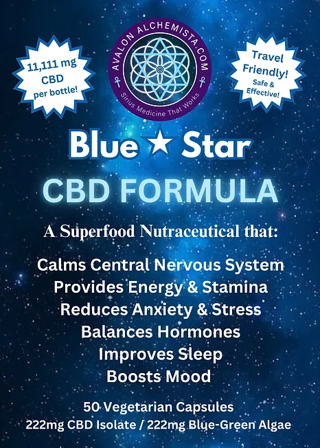 woman sitting on sand