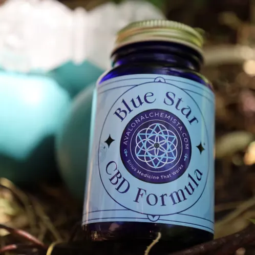 white and green plant on white table