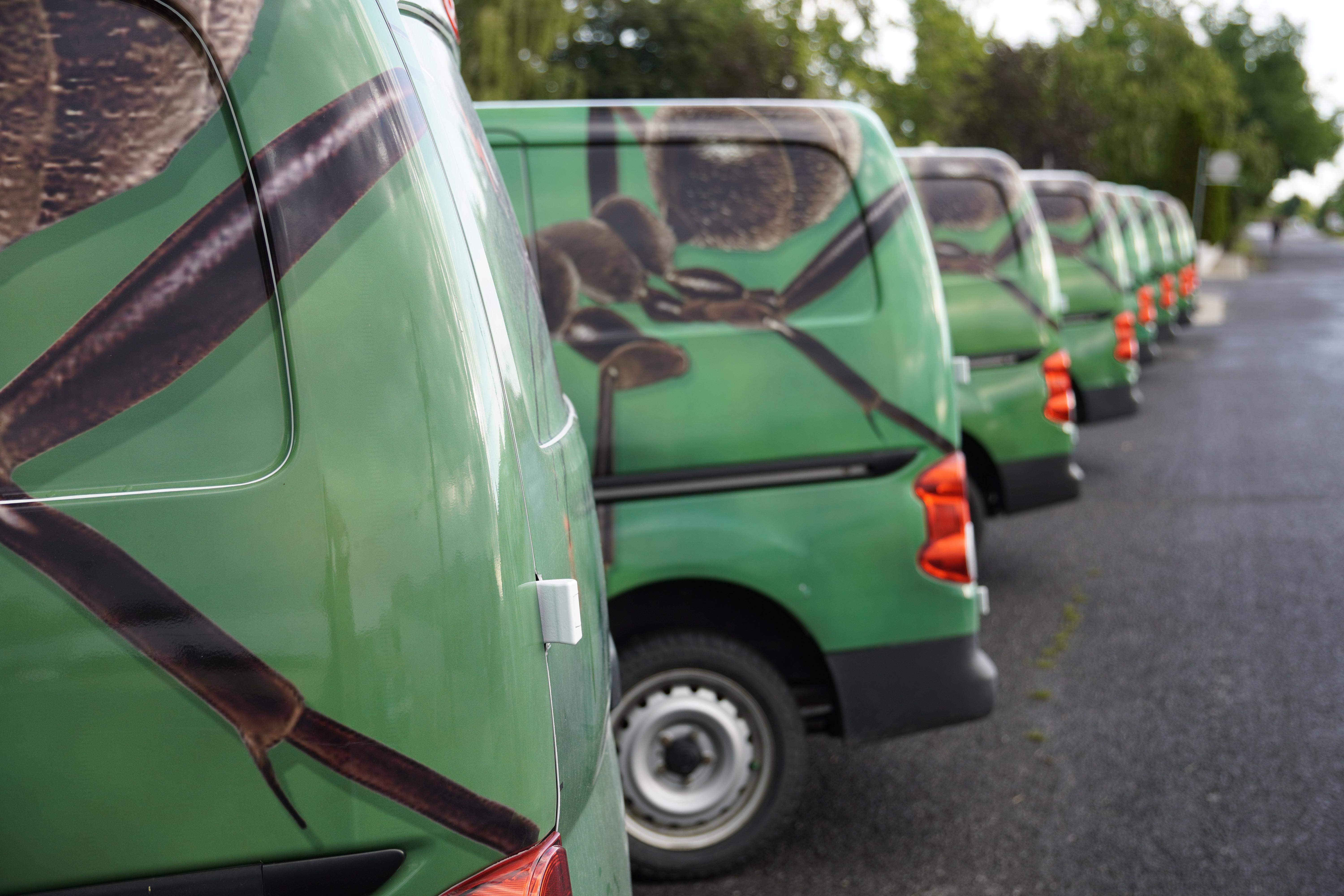 Elevate pest technician