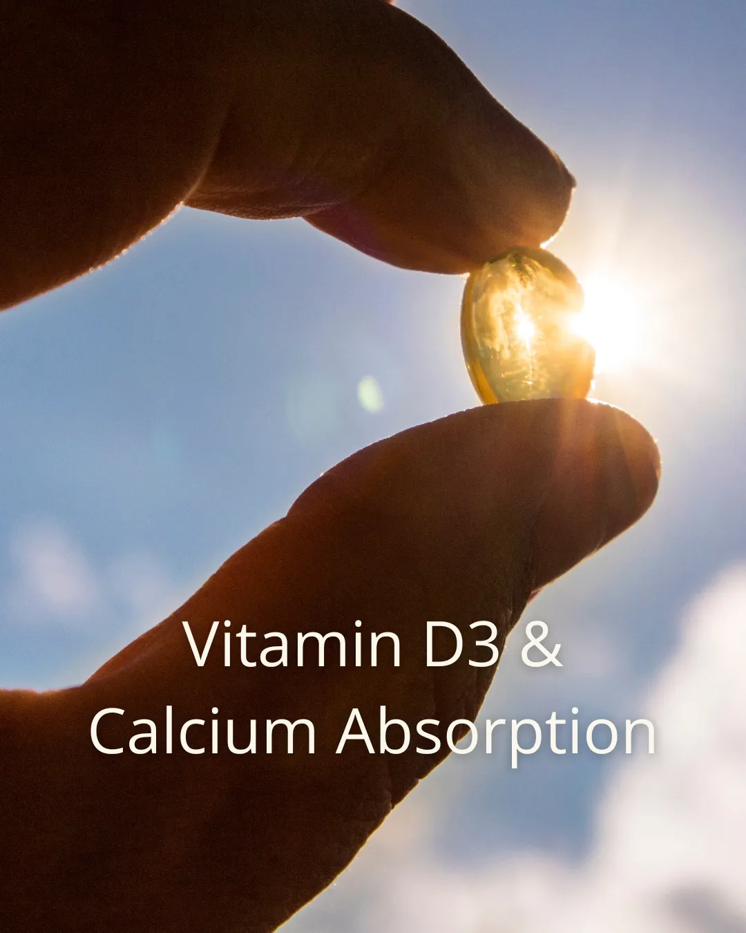 Vitamin D3 & Calcium Absorption