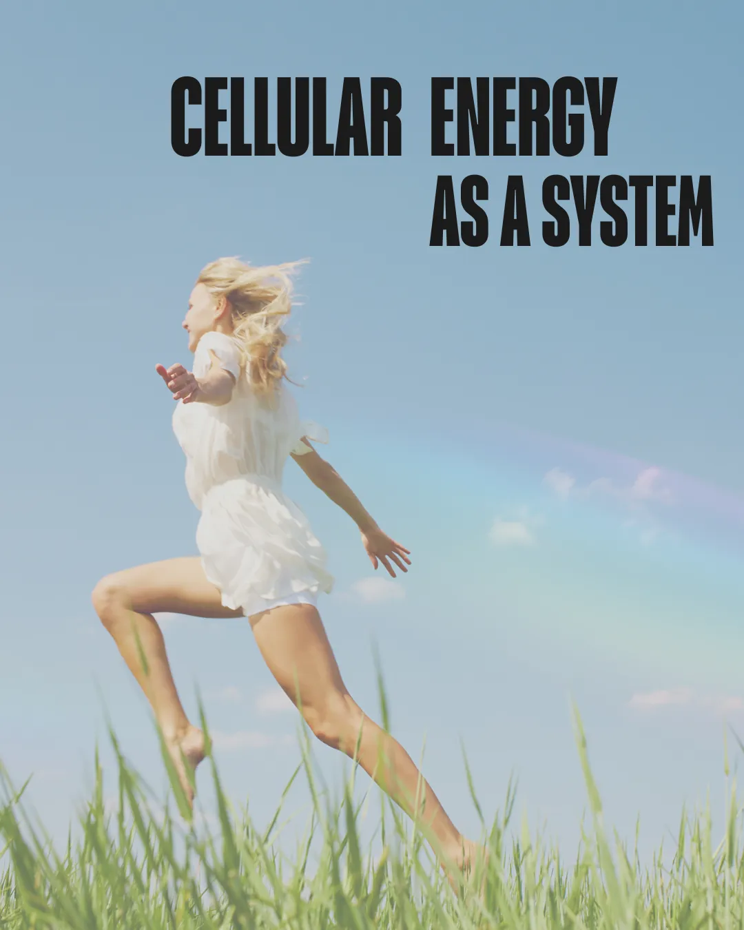 How Acetyl-L-Carnitine, Magnesium Malate, and Bioactive B-Vitamins Work Together