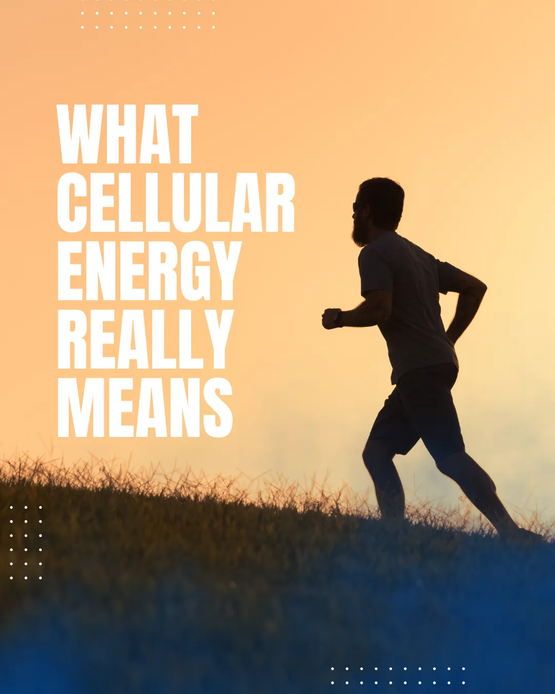 How EternaFuel™ Mito Support Helps Fuel Mitochondrial Function