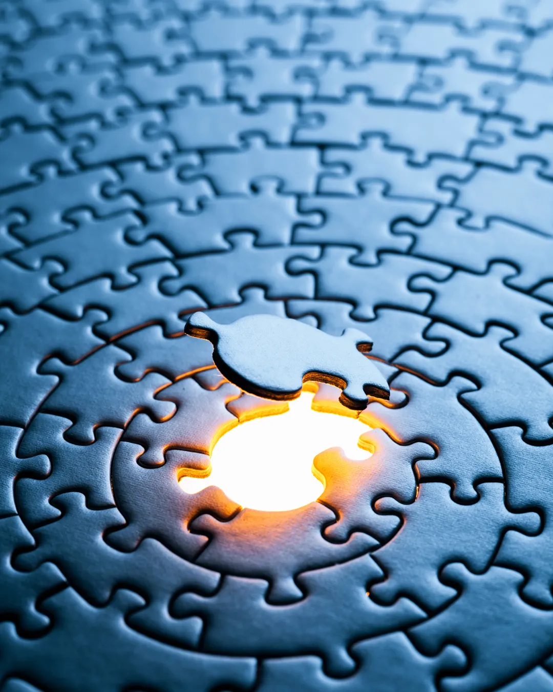 A missing puzzle piece